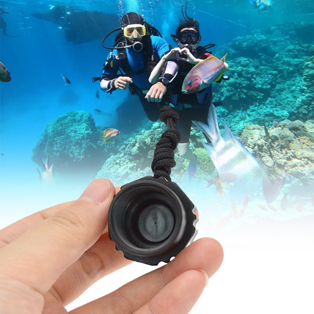 Scuba Diving Tank Valve Dust P - Scuba Diving Regulator First Stage Din review and price