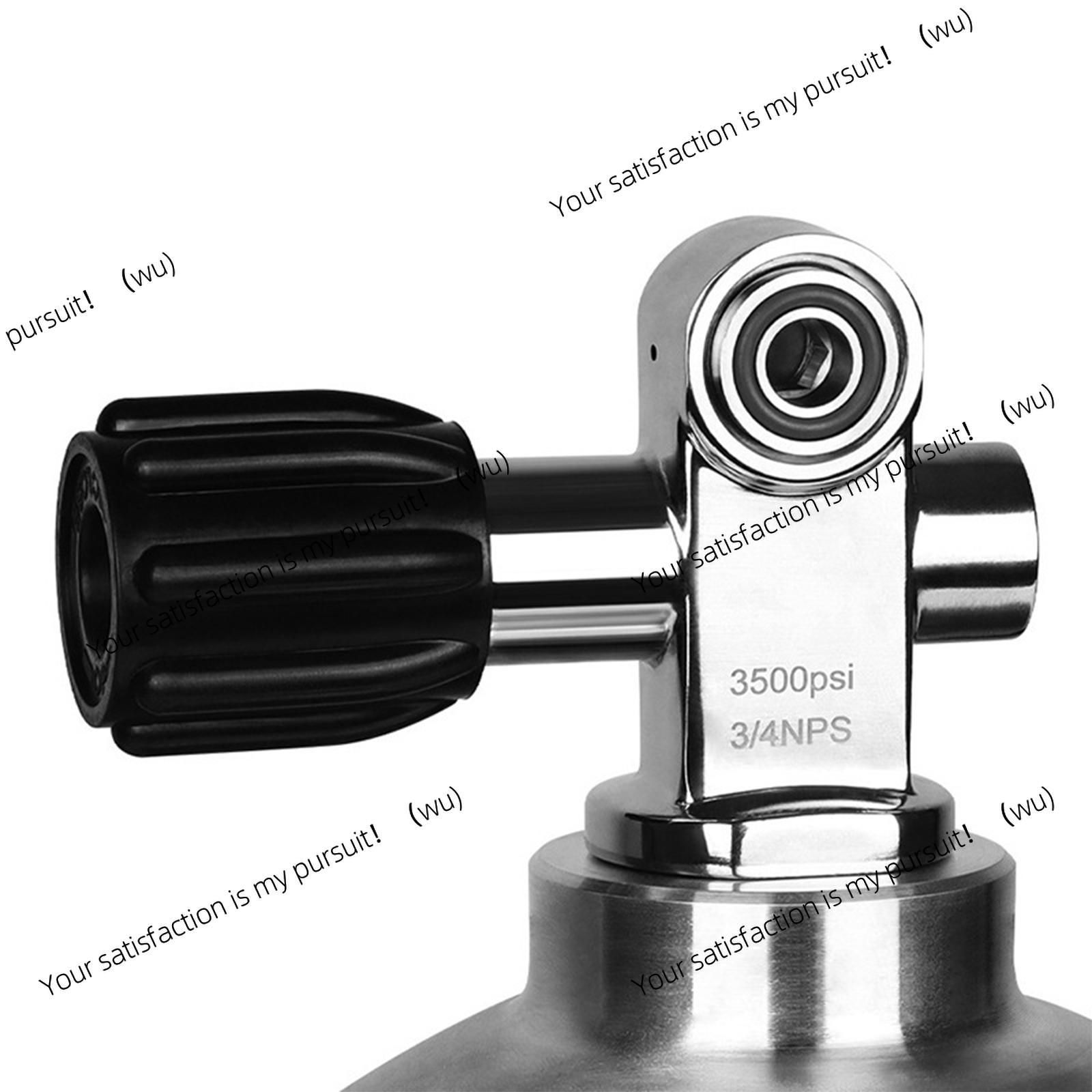 Stainless Steel Diving Cylinde - Scuba Tank Valve Din Yoke Convertible review and price