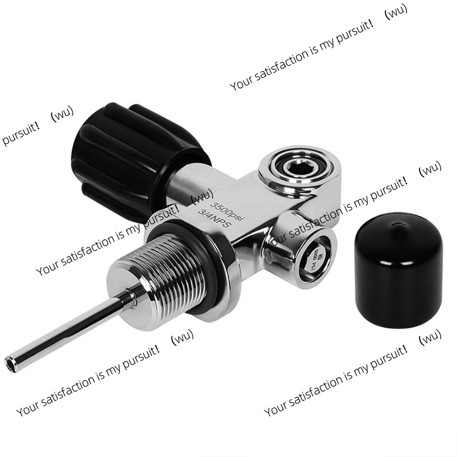 Stainless Steel Diving Cylinde - Scuba Tank Valve Din Yoke Convertible review and price